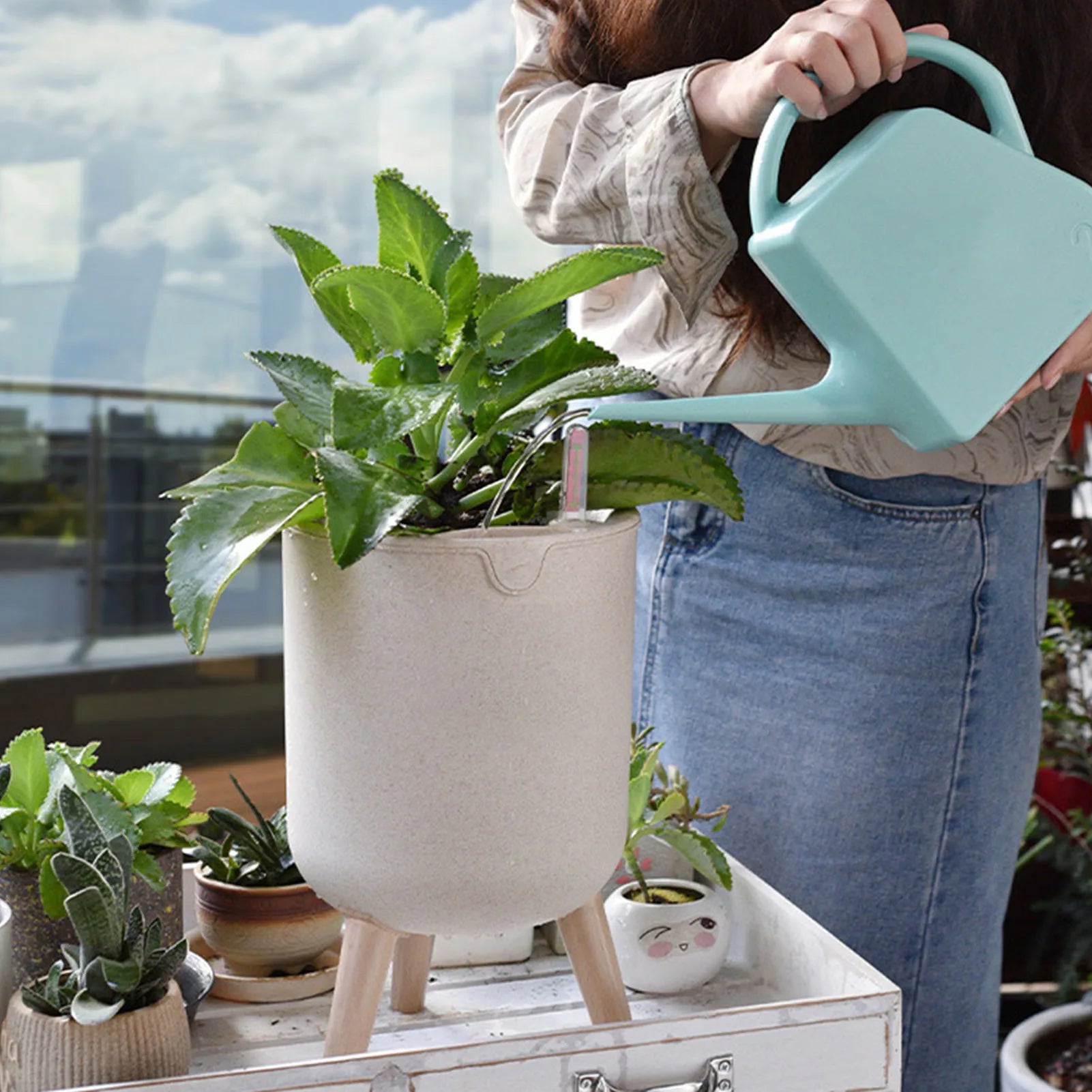 Vaso de Flores com Rega Automática – Verde Jardim | Plantador de Suculentas com Base de Madeira e Indicador de Água