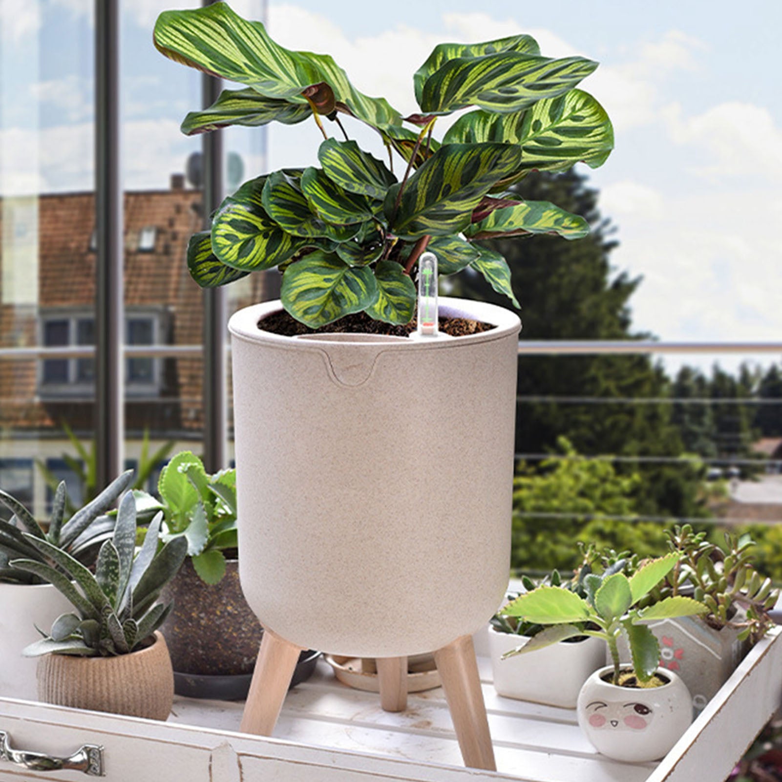 Vaso de Flores com Rega Automática – Verde Jardim | Plantador de Suculentas com Base de Madeira e Indicador de Água