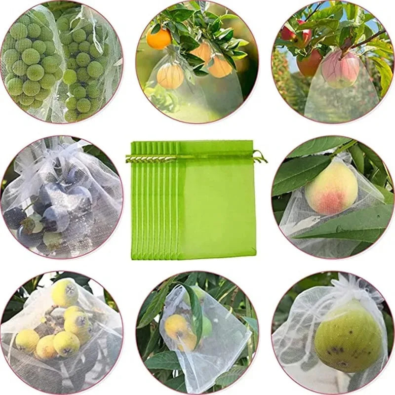 Sacos de Proteção para Uvas em Malha com Cordão – Reutilizáveis e Ecológicos para Cultivo de Frutas | Verde Jardim