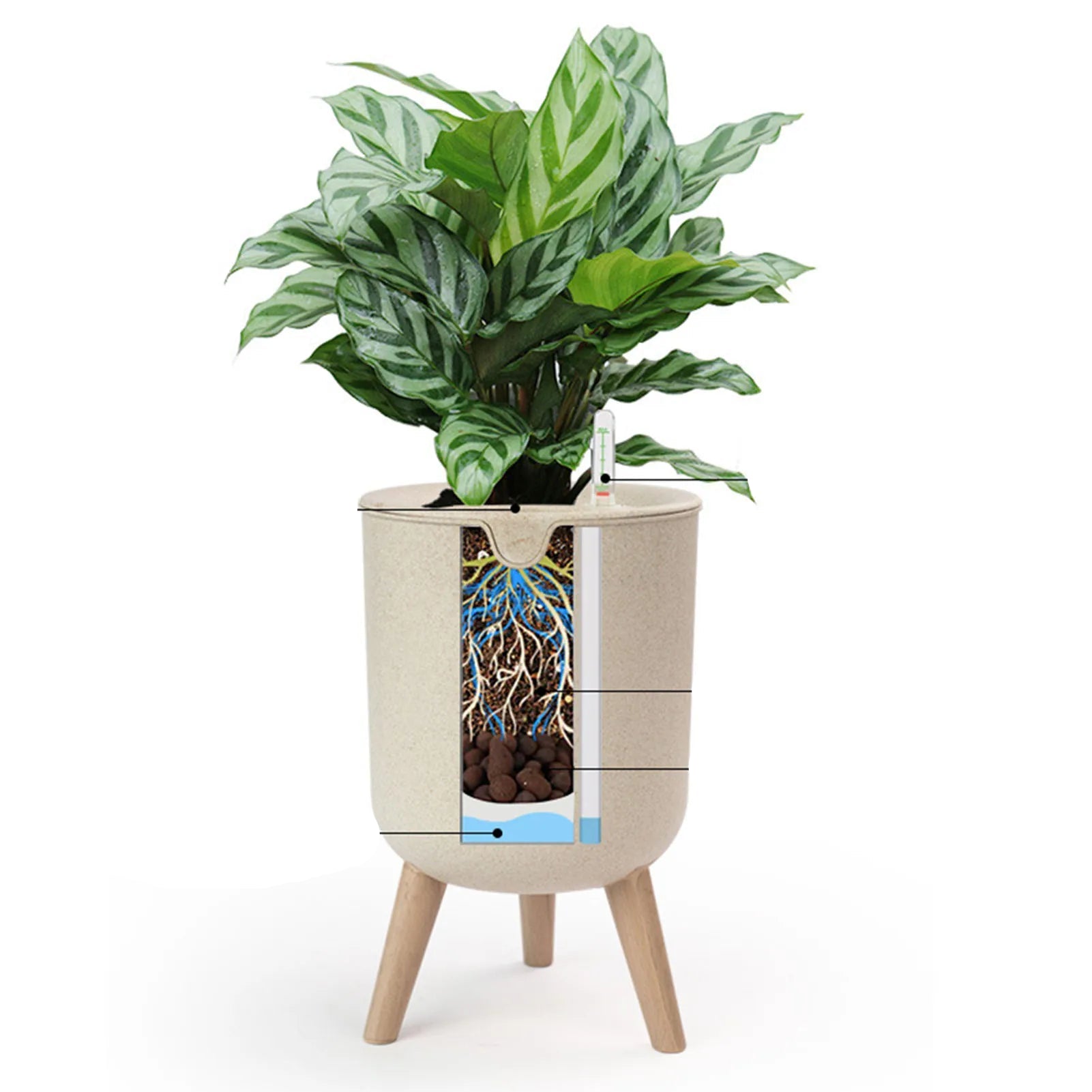 Vaso de Flores com Rega Automática – Verde Jardim | Plantador de Suculentas com Base de Madeira e Indicador de Água
