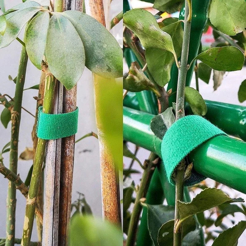 Fita de Fixação Ajustável para Plantas em Nylon - Verde Jardim. Verde Jardim
