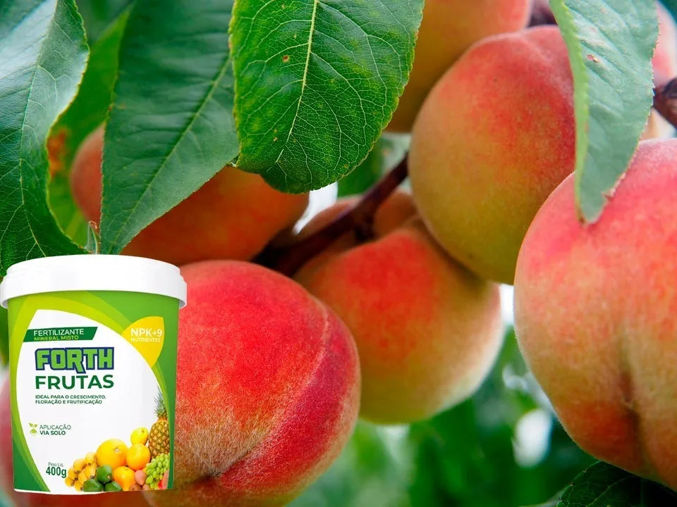 Adubo Forth Frutas 400g - Nutrição Completa para Floração e Frutificação - Verde Jardim Verde Jardim 