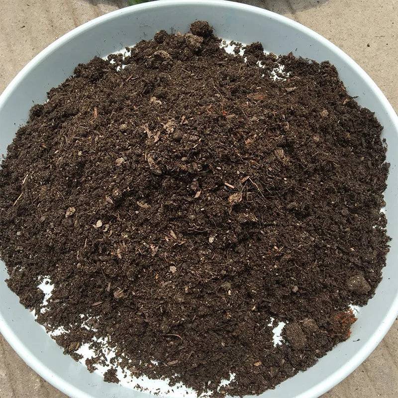 10g de Solo Rico em Nutrientes NPK - Fertilizante para Plantas - Verde Jardim 