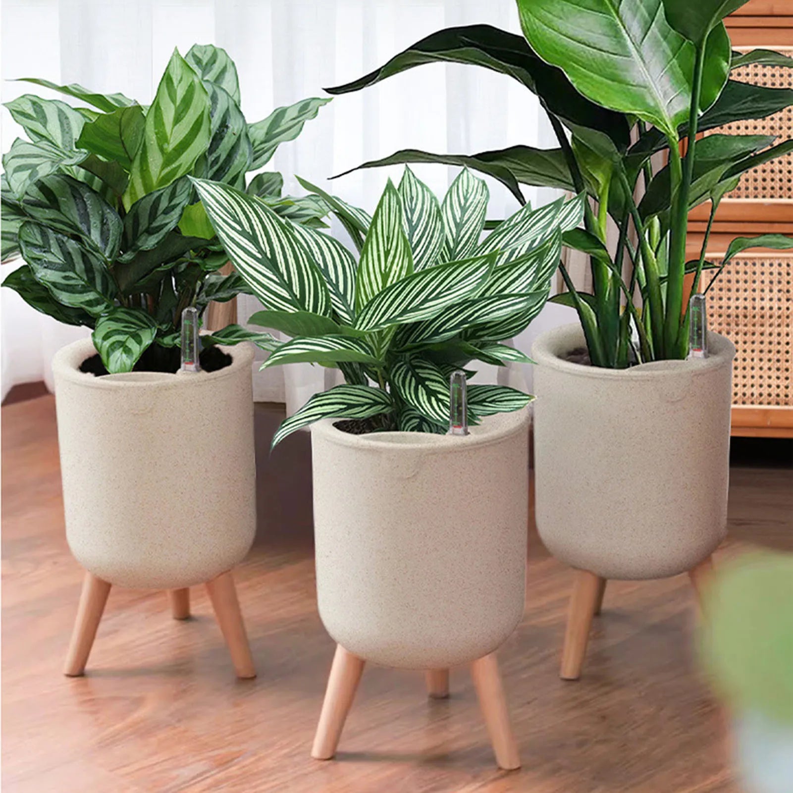 Vaso de Flores com Rega Automática – Verde Jardim | Plantador de Suculentas com Base de Madeira e Indicador de Água
