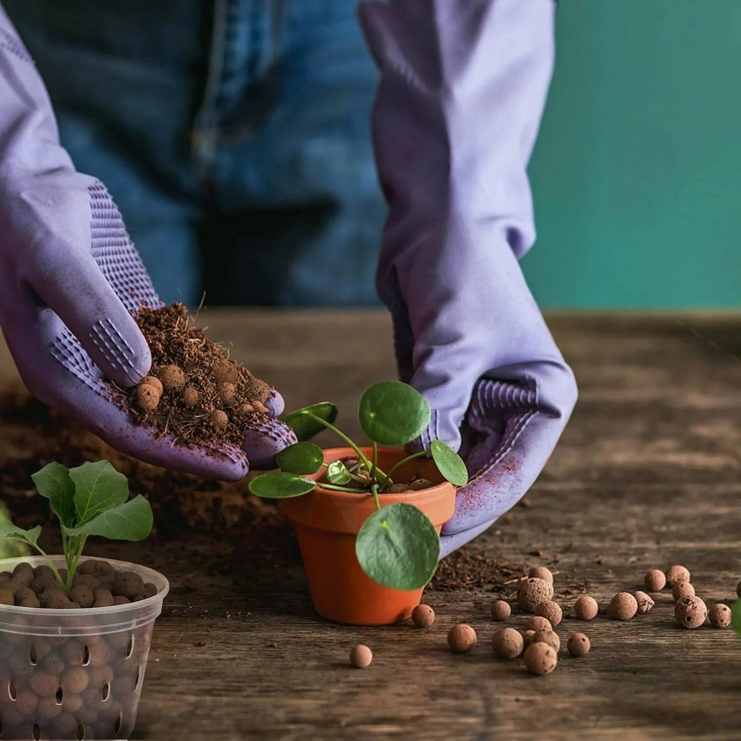 Bolas de Argila Orgânica Verde Jardim - Substrato para Jardinagem 