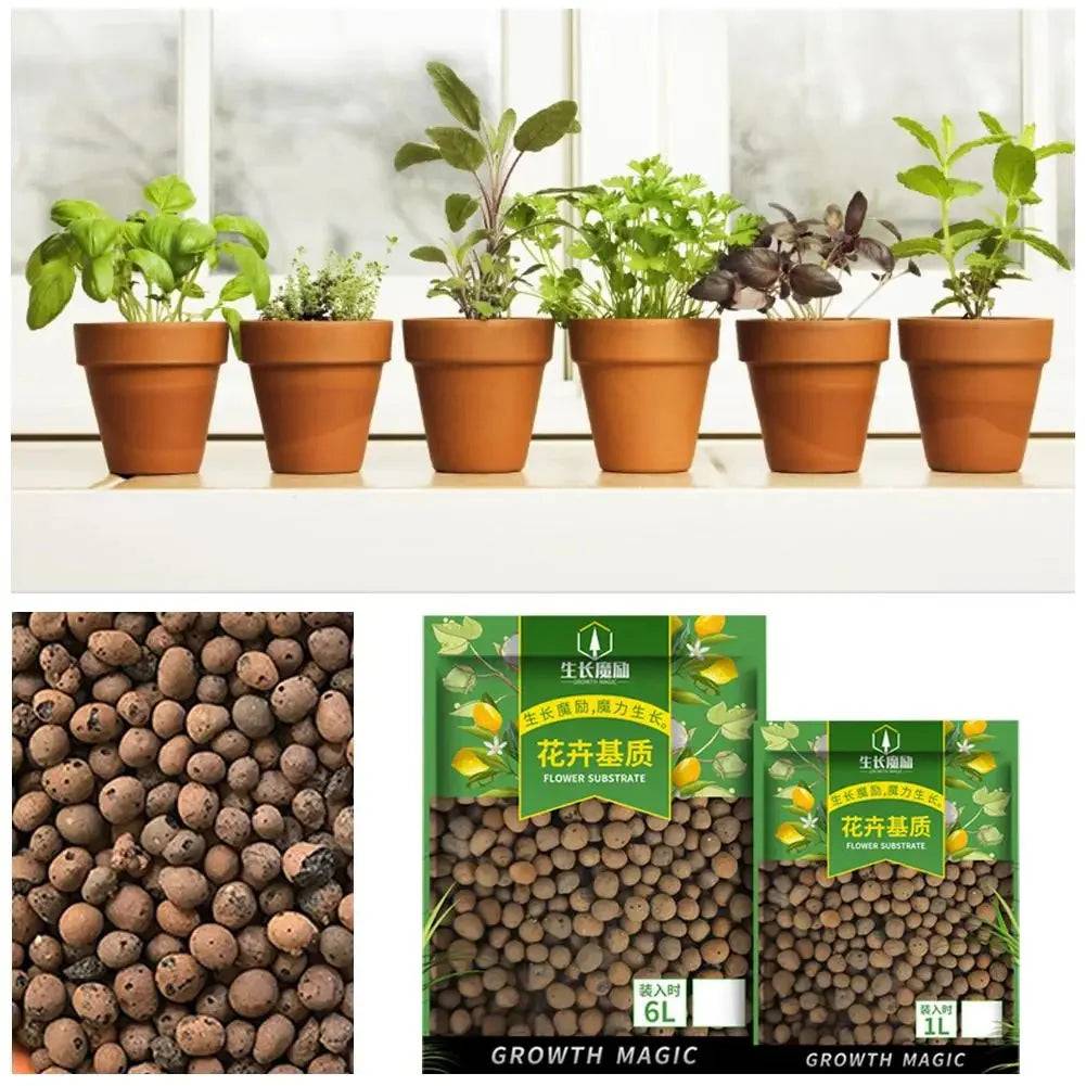 Bolas de Argila Orgânica Verde Jardim - Substrato para Jardinagem 