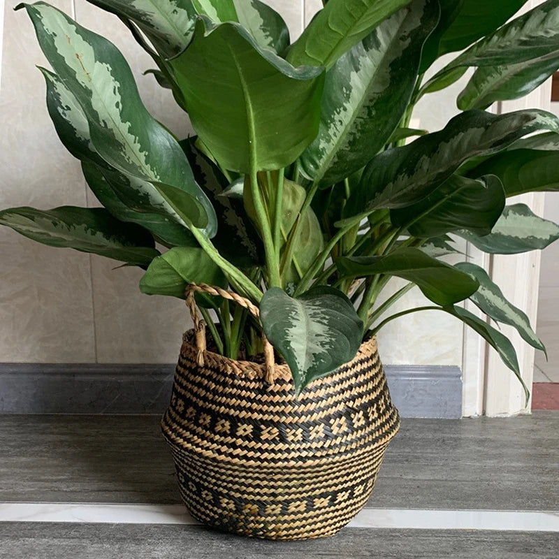 Verde Jardim - Cesta Artesanal de Vime para Plantas, Estilo Boho, 100% Natural e Ecológica Verde Jardim 