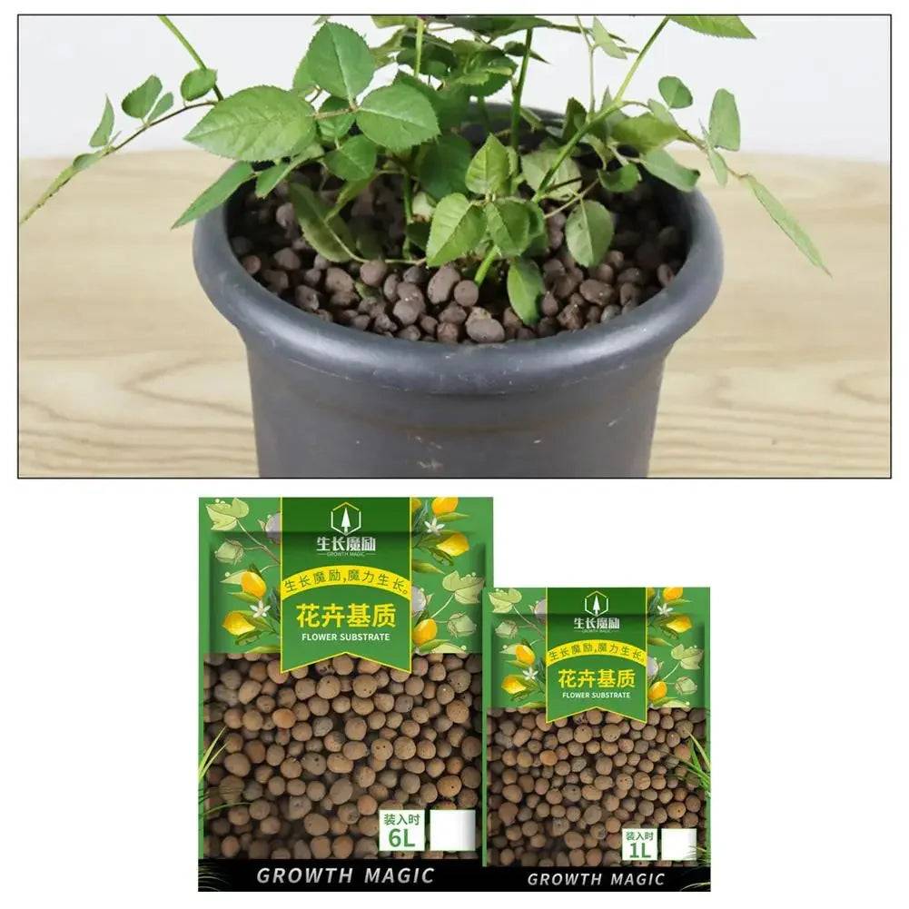 Bolas de Argila Orgânica Verde Jardim - Substrato para Jardinagem 