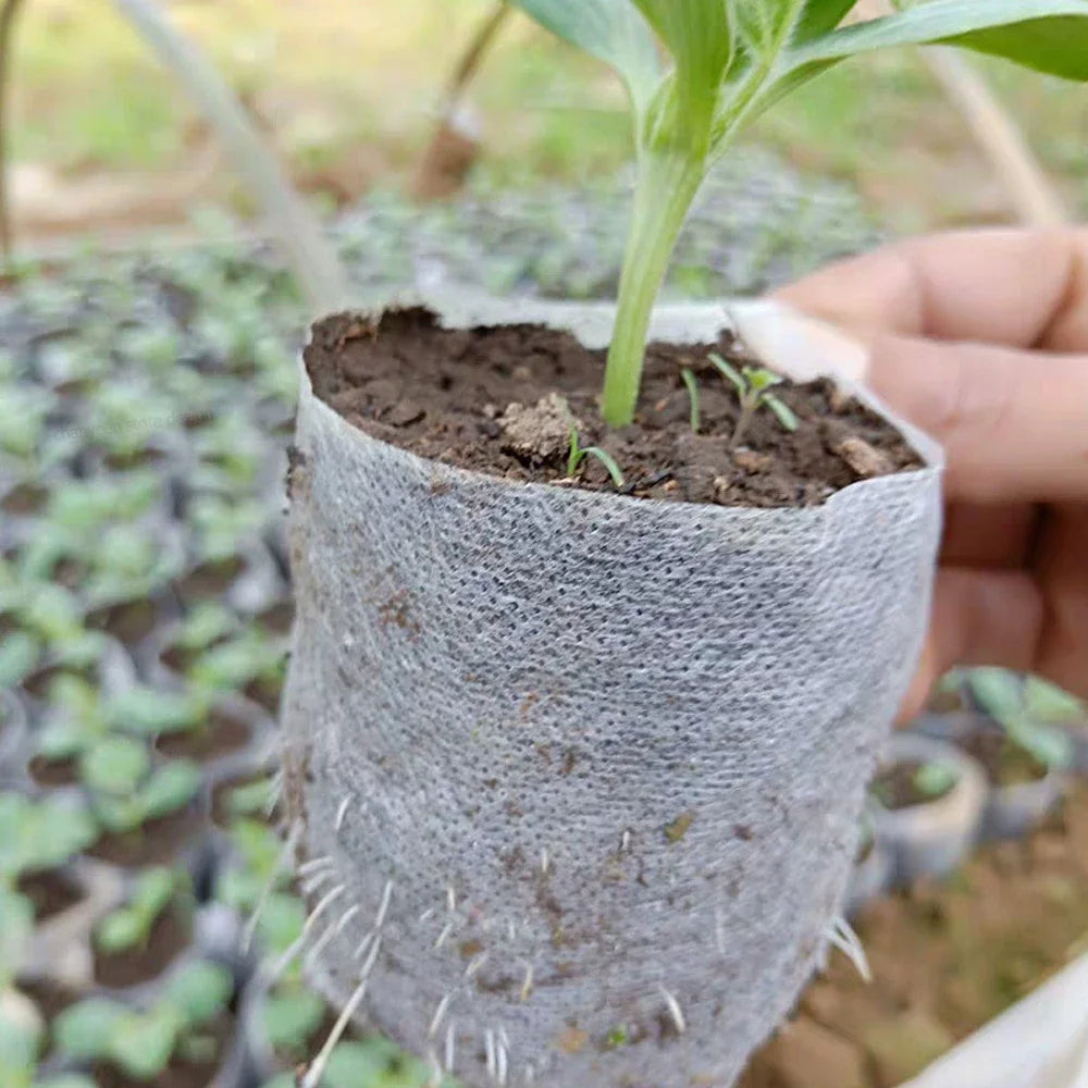 Verde Jardim - Saco para Mudas Biodegradável em Tecido Não Tecido Verde Jardim 
