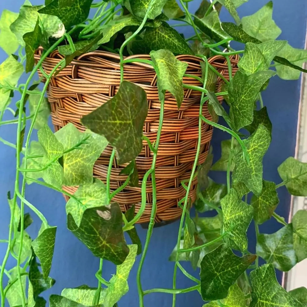 Arranjo com Trepadeira de Folhas de Hera + Vaso Marrom Trançado | Verde Jardim Verde Jardim 