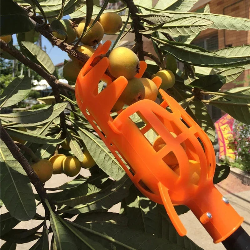 Colhedor de Frutas com Dentes de Corte e Saco Coletor | Verde Jardim – Prático e Eficiente | Verde Jardim