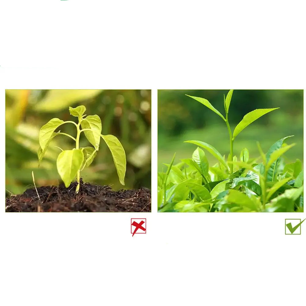 Substrato de Fibra de Coco para Jardinagem | Solo Natural Verde Jardim Verde Jardim 