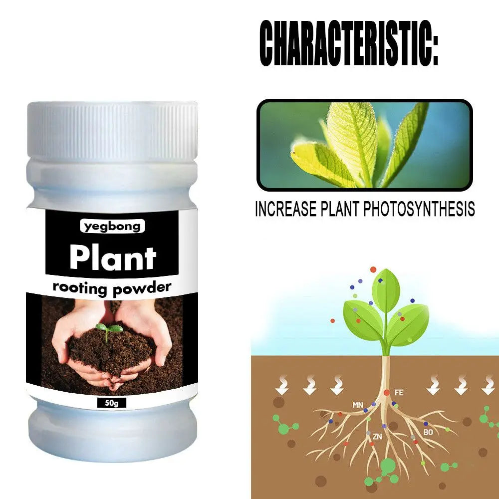 Verde Jardim - Pó de Enraizamento Rápido para Plantas, Crescimento Saudável, Aminoácidos, 50/100g Verde Jardim 
