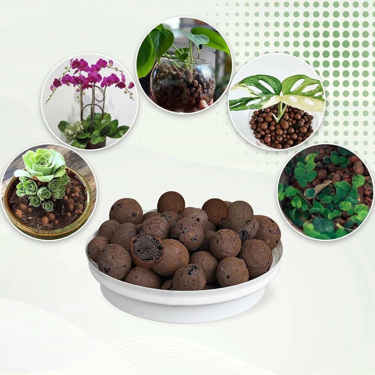 Bolas de Argila Orgânica Verde Jardim - Substrato para Jardinagem 