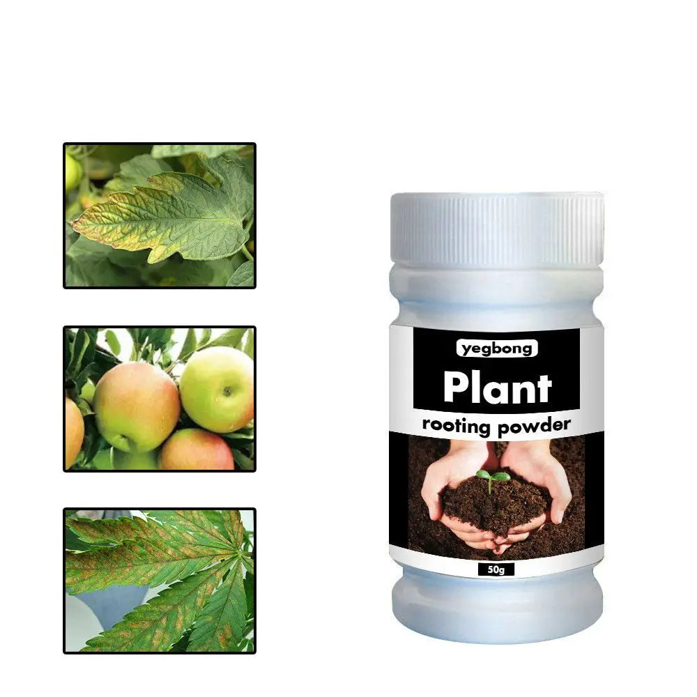 Verde Jardim - Pó de Enraizamento Rápido para Plantas, Crescimento Saudável, Aminoácidos, 50/100g Verde Jardim 