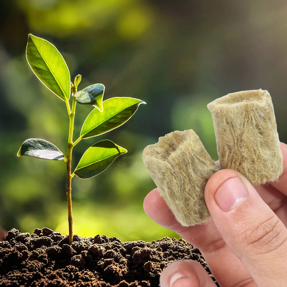 Bloco de Lã de Rocha para Mudas e Hidroponia – Esponja de Plantio para Estufas e Germinação | Verde Jardim