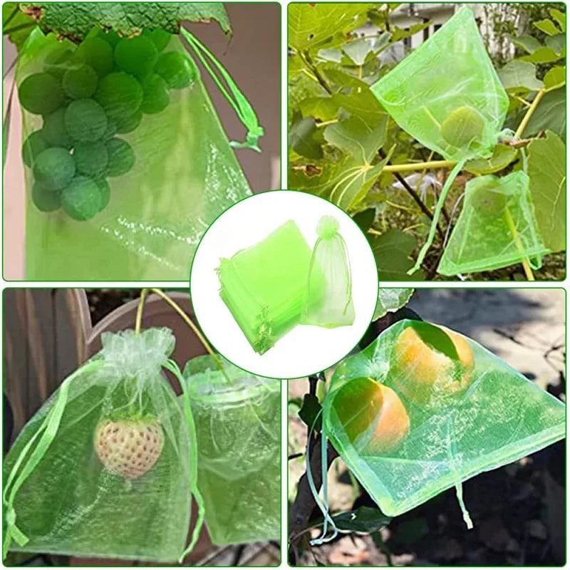 Sacos de Proteção para Uvas em Malha com Cordão – Reutilizáveis e Ecológicos para Cultivo de Frutas | Verde Jardim