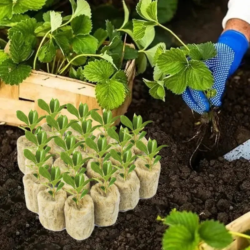 Bloco de Lã de Rocha para Mudas e Hidroponia – Esponja de Plantio para Estufas e Germinação | Verde Jardim