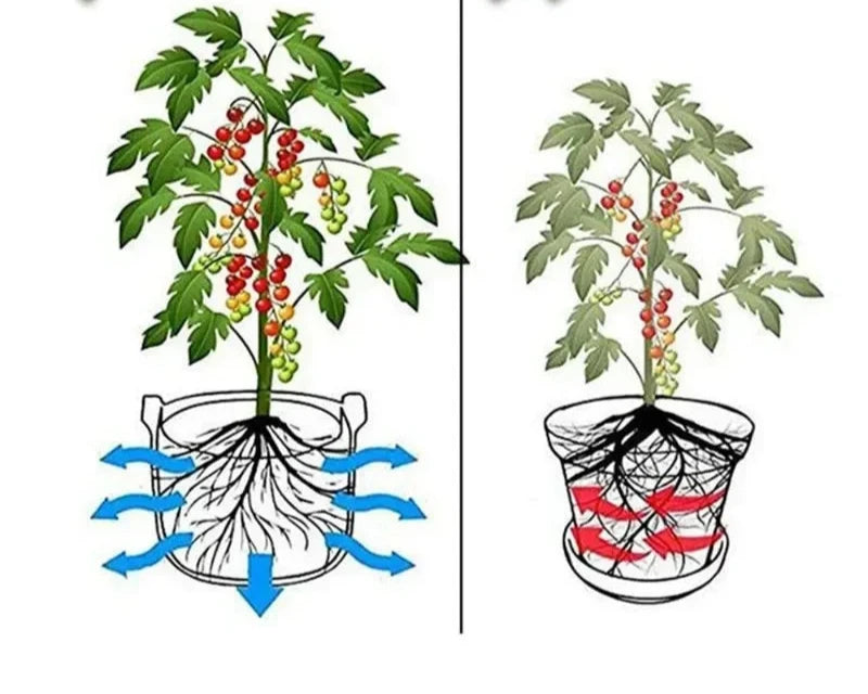 Verde Jardim - Sacos de Plantio em Feltro para Mudas, 5 Unidades (3/4/5/7/10 Galões) para Jardinagem e Hortas Domésticas Verde Jardim 