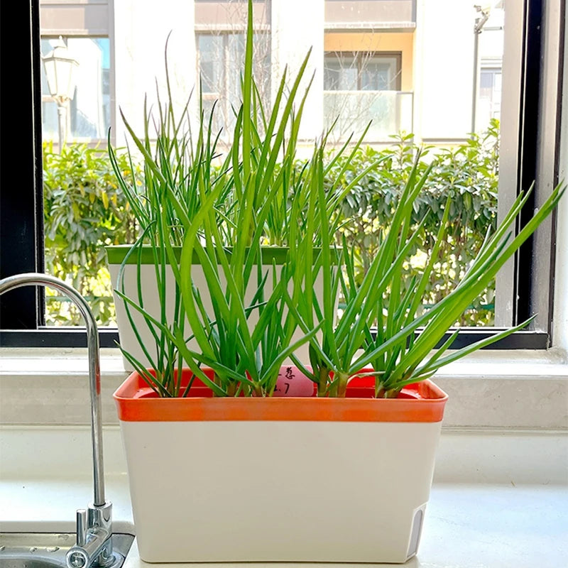 Vaso Plástico com Bandeja de Drenagem – Macetero Decorativo para Plantas, Flores e Hortas | Verde Jardim