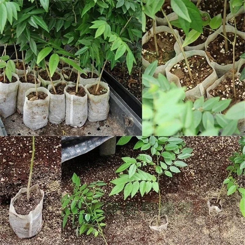 Verde Jardim - Saco para Mudas Biodegradável em Tecido Não Tecido Verde Jardim 