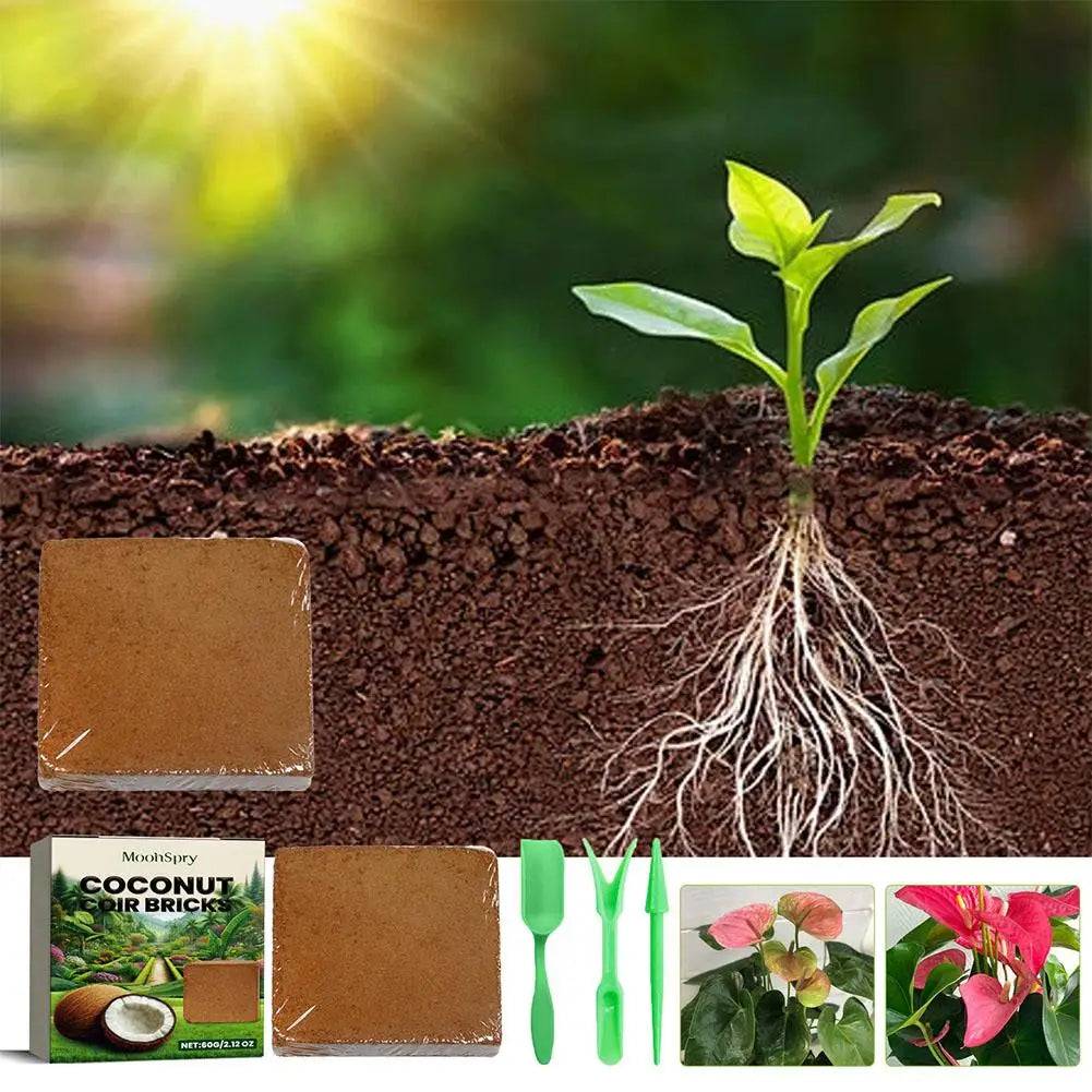 Substrato de Fibra de Coco para Jardinagem | Solo Natural Verde Jardim