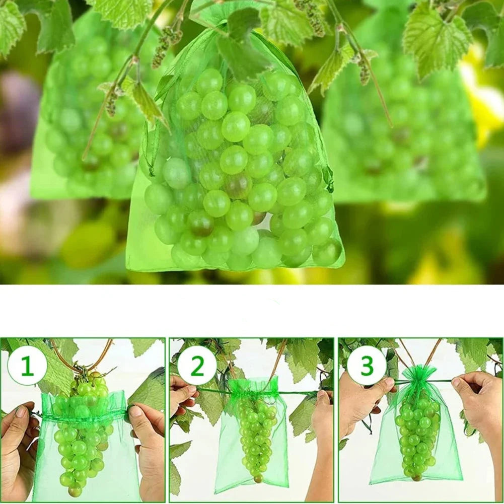 Sacos de Proteção para Uvas em Malha com Cordão – Reutilizáveis e Ecológicos para Cultivo de Frutas | Verde Jardim