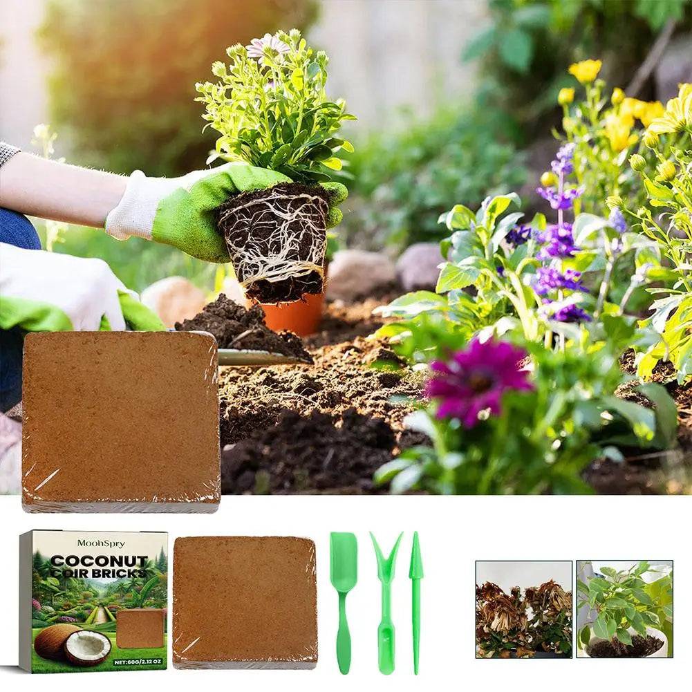 Substrato de Fibra de Coco para Jardinagem | Solo Natural Verde Jardim