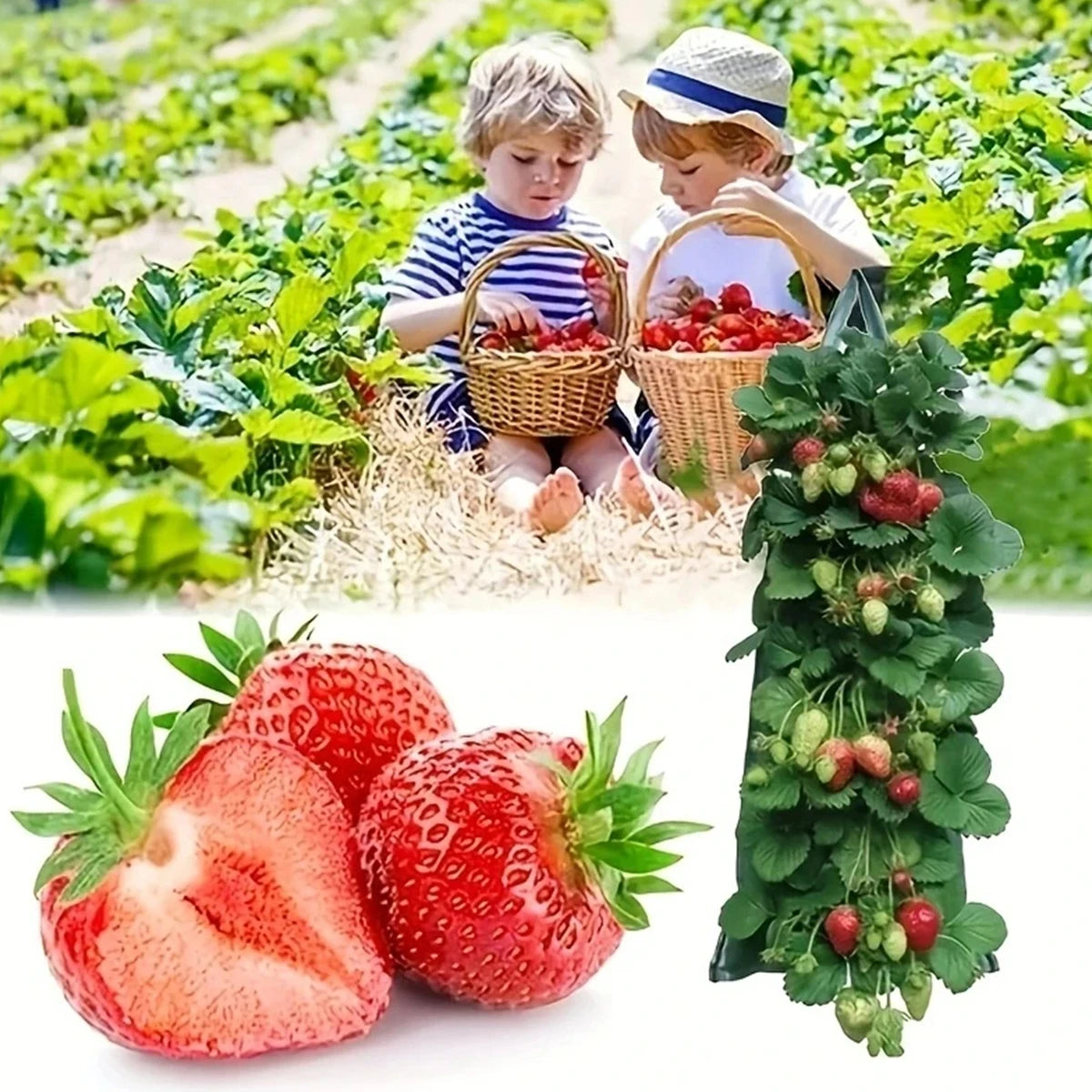 Saco de Cultivo Suspenso com 8 Furos em Tecido PE – Vertical, Durável e Degradável | Verde Jardim