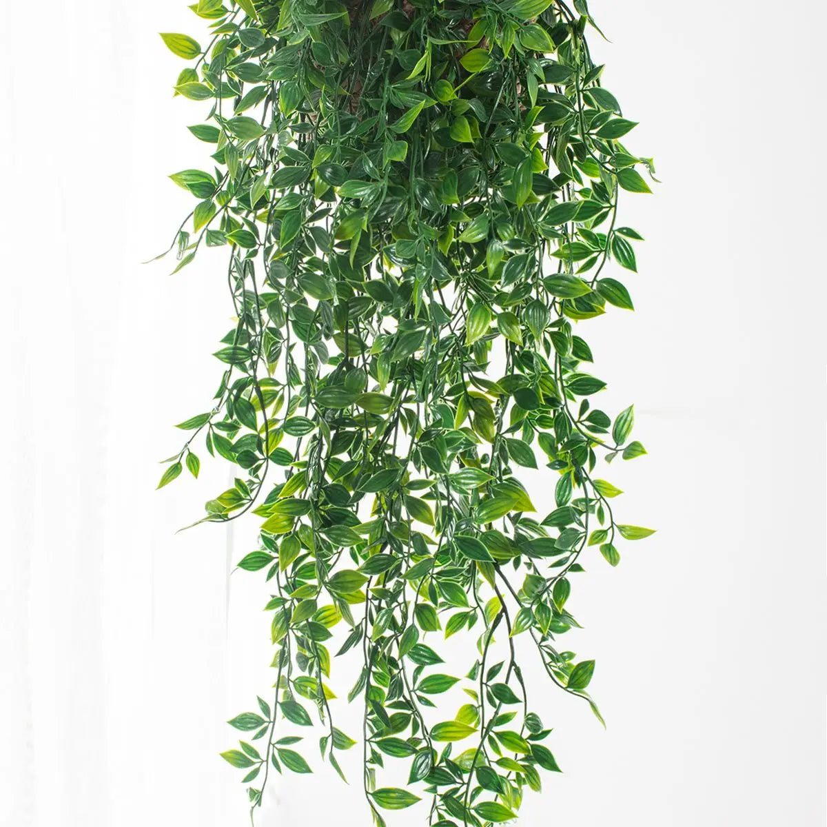 Hera Artificial com Vasos - Folha de Plástico para Decoração de Casamento | Verde Jardim Verde Jardim 