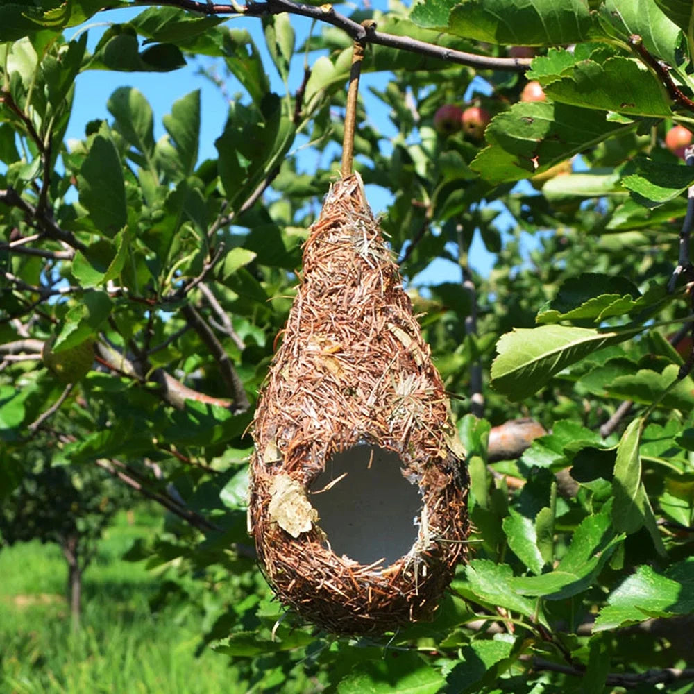 Casinha de Palha para Pássaros com Formato de Gota – Ninho Artesanal Decorativo com Estrutura Interna em Espuma | Verde Jardim