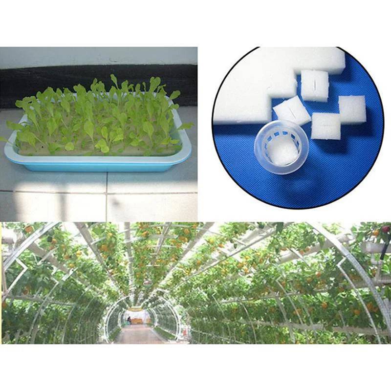 Esponjas de Algodão para Germinação de Sementes - 100 blocos por peça Verde Jardim 