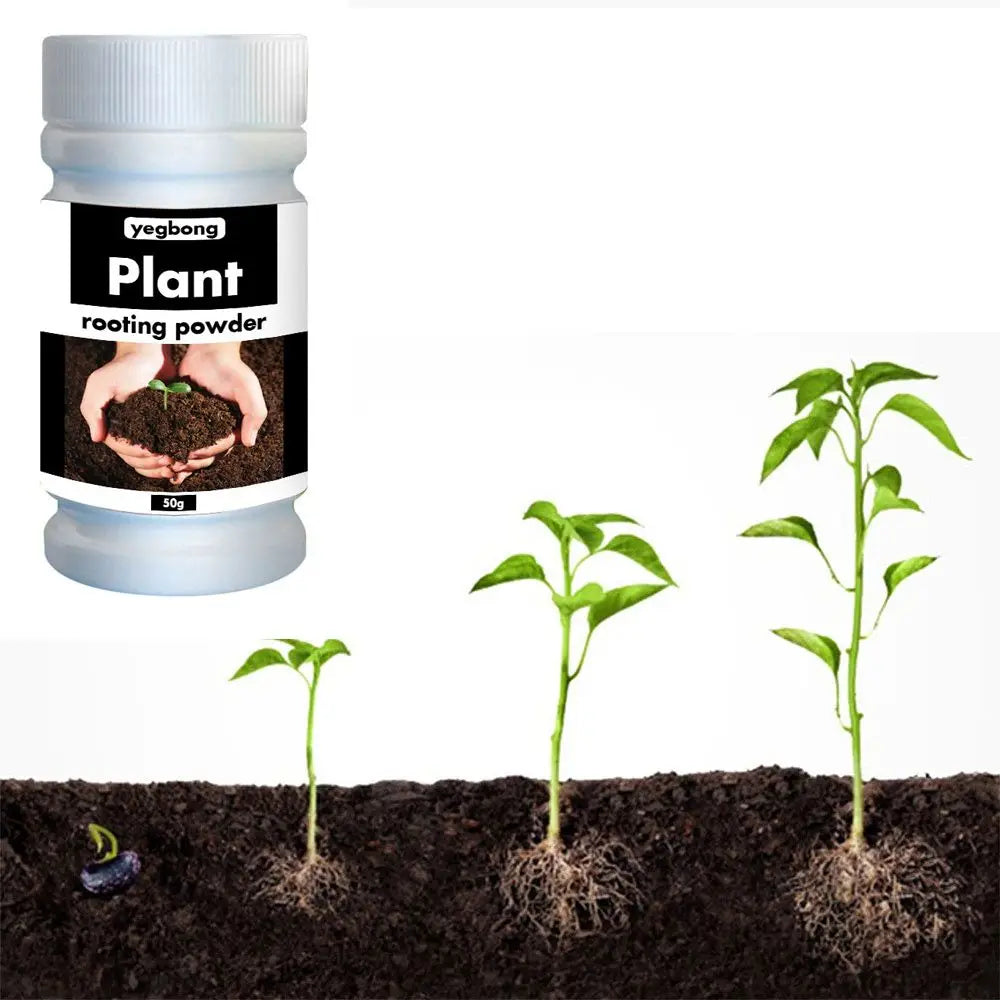 Verde Jardim - Pó de Enraizamento Rápido para Plantas, Crescimento Saudável, Aminoácidos, 50/100g Verde Jardim 