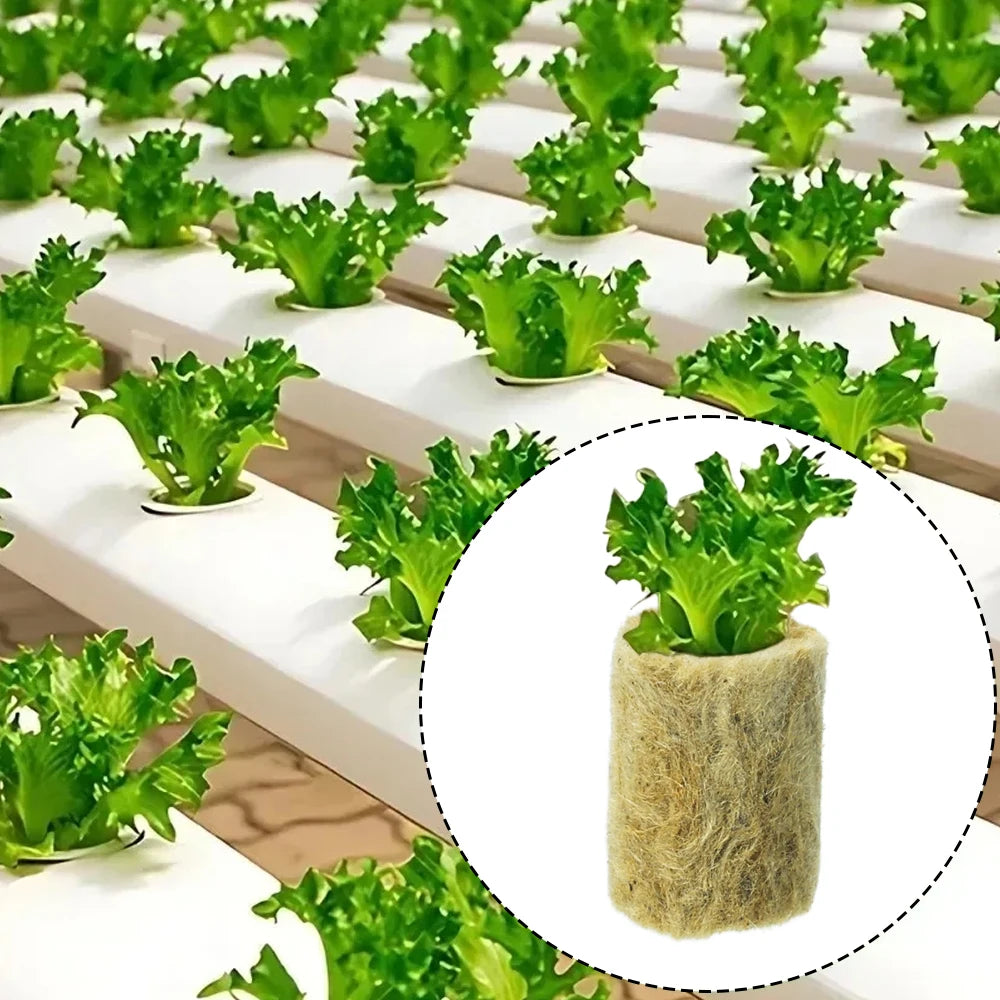 Bloco de Lã de Rocha para Mudas e Hidroponia – Esponja de Plantio para Estufas e Germinação | Verde Jardim