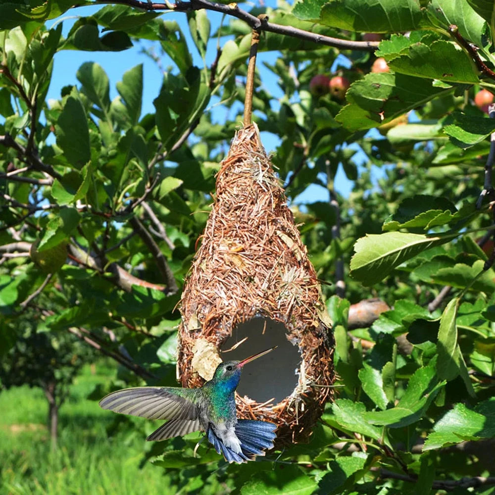 Casinha de Palha para Pássaros com Formato de Gota – Ninho Artesanal Decorativo com Estrutura Interna em Espuma | Verde Jardim