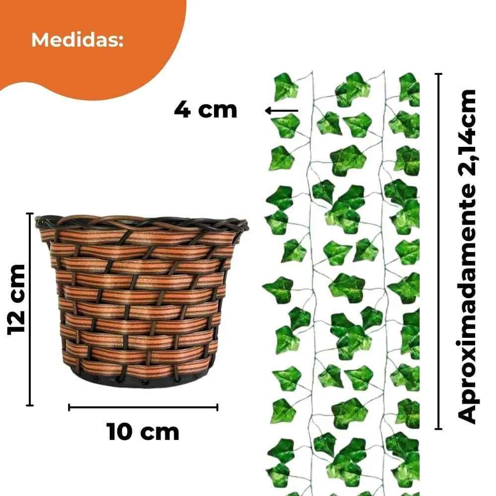 Arranjo com Trepadeira de Folhas de Hera + Vaso Marrom Trançado | Verde Jardim Verde Jardim 