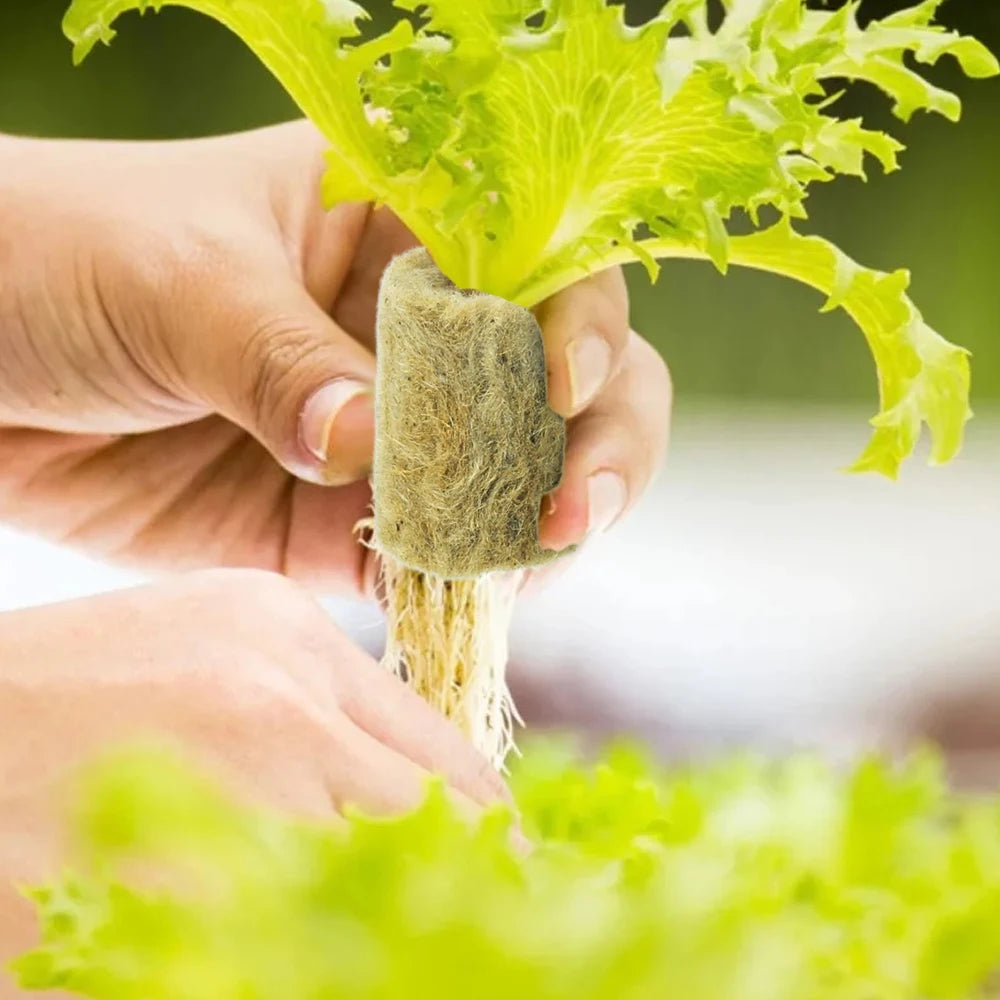 Bloco de Lã de Rocha para Mudas e Hidroponia – Esponja de Plantio para Estufas e Germinação | Verde Jardim