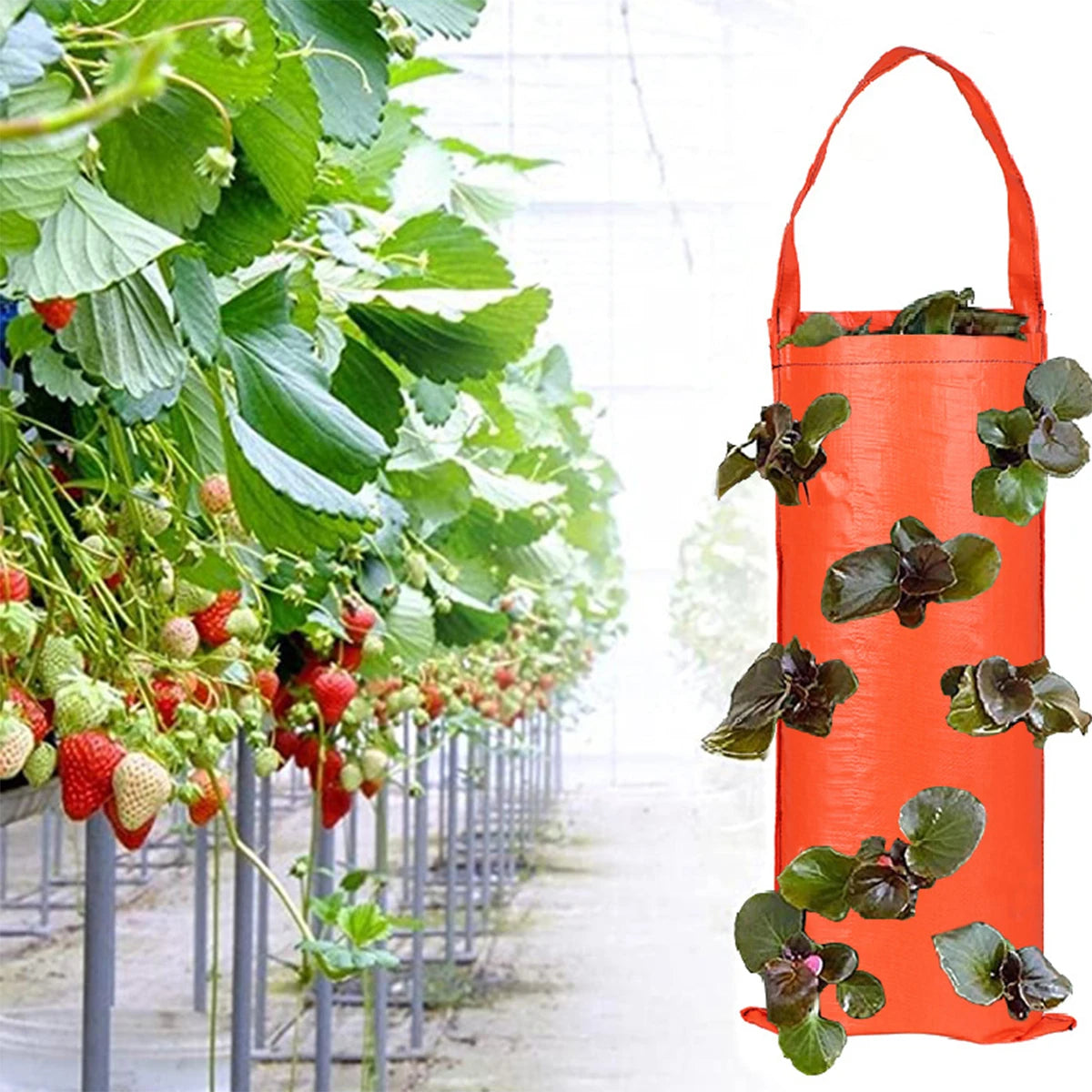 Saco de Cultivo Suspenso com 8 Furos em Tecido PE – Vertical, Durável e Degradável | Verde Jardim